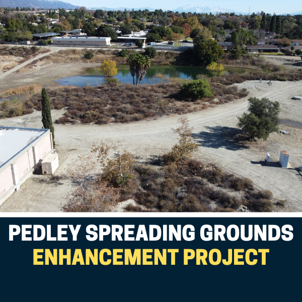 Pedley Spreading Grounds