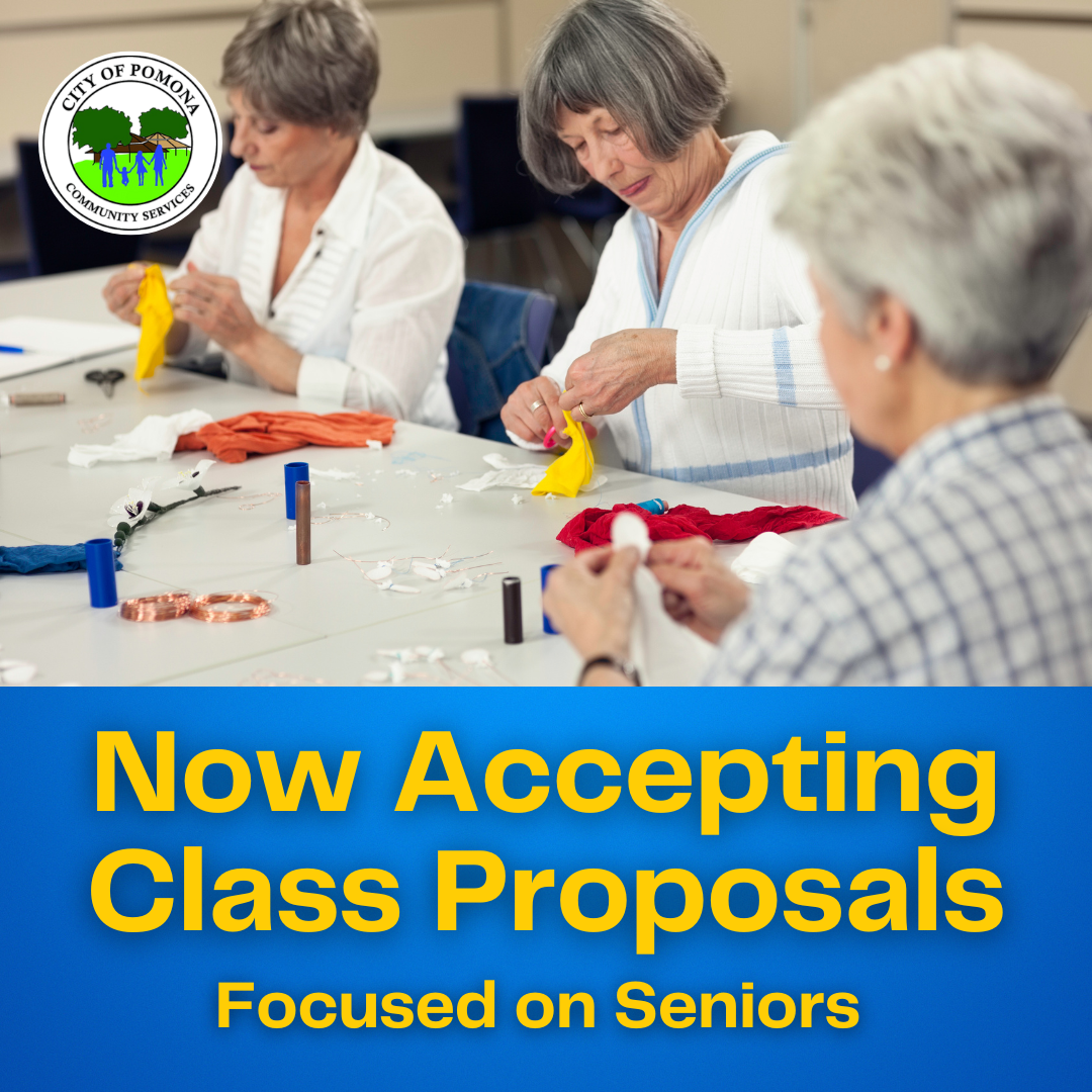 Class Proposals - Seniors WEB