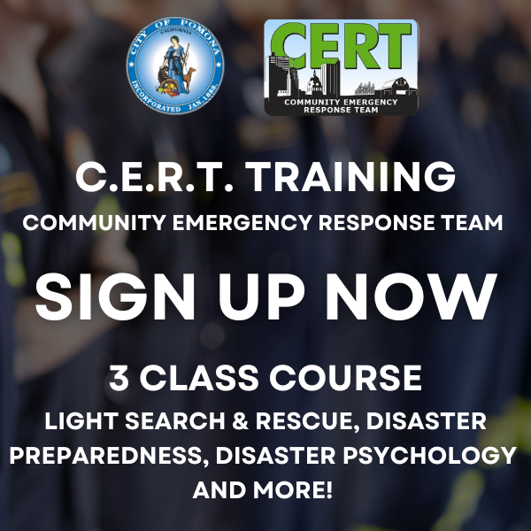 WEB - CERT Training
